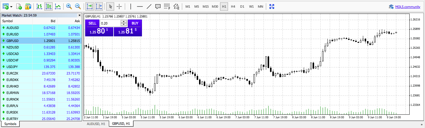 MetaTrader 4 platform at Hugo's Way