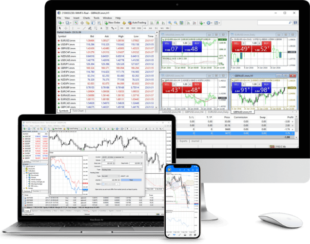 Absolute Markets review