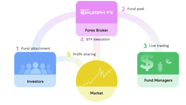 Diagram of Triumph FX's managed account